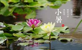 小暑节气的起源及历史发展