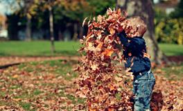 用诺字给男孩取名