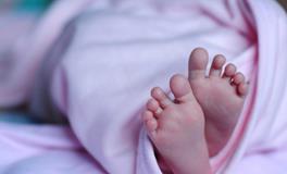 诗句起名女孩名字大全