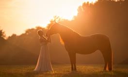 属马金牛座2018年运势