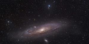 紫微斗数讲解“猛虎独行”与“草木向阳”