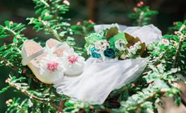 梁姓女孩起名大全