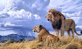 四大血型不为人知的秘密