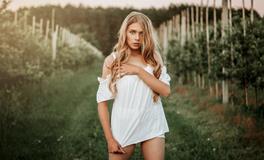 属鸡的三合贵人是什么属相