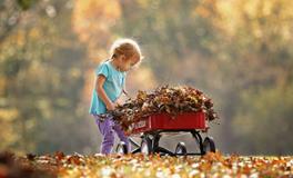 郎姓女孩起名大全