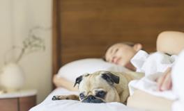 梦见自己不受人待见