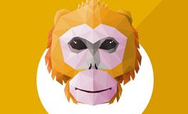 生肖猴的象征意义