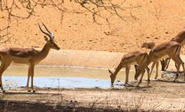 O血型摩羯座的事业观