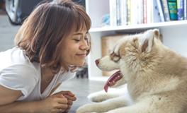 梦见自己家的狗死了