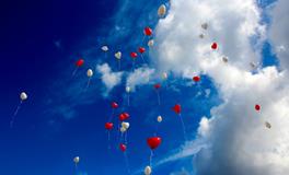 每天梦见自己喜欢的人