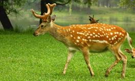 B血型君分手后还能做朋友