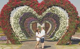 梦见我喜欢的人