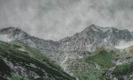 女人梦见鹿是什么意思