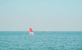 梦见黄蛇是什么意思