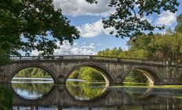 女生梦到蛇是什么意思