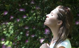 孕妇梦见一条大蛇