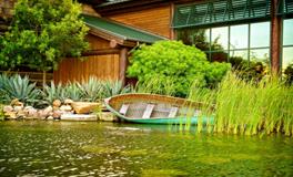 做梦梦见大蟒蛇是什么意思