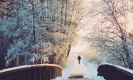 梦到了蛇是什么意思