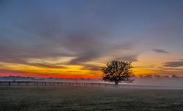 男的做梦梦到蛇