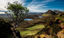 梦见三条不同颜色的蛇