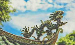 女人梦见龙是什么意思