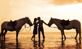 A血型君如何缓解焦虑？