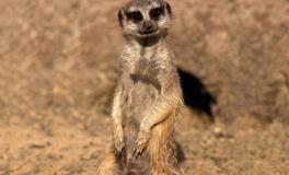 B血型君的聊天习惯