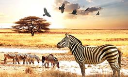 AB血型君有什么怪癖