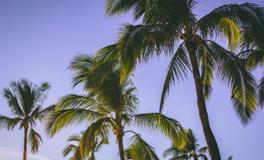 做梦梦见死去的人