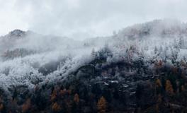 梦见别人借我的钱