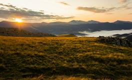 已婚女人梦见黑猫