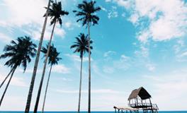 梦见被陌生人打