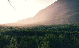 梦见自己大哭周公解梦