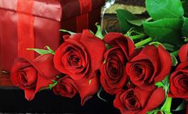 狮子座女生喜欢什么花