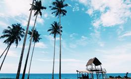 周公解梦梦见藏起好多钱