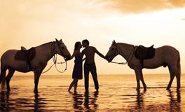 B血型君的爱情雷区是什么？