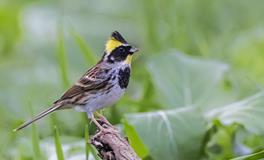 AB血型君是不是夜猫子？