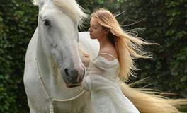 十二生肖马的象征意义