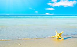 紫微14主星一周运势（8.6-8.12）