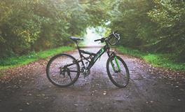 属马人的健康如何