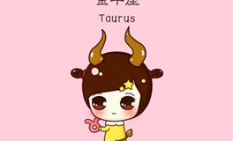 金牛座的专属包包