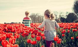 梦见怀孕了是什么意思