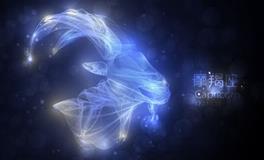 AB型血的摩羯座职业方向