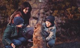 女人梦见一条怀孕的蛇