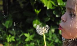 怀孕梦到船是什么意思