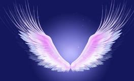 白羊座代表的翅膀