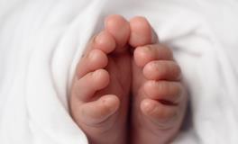 怀孕梦到很多死人