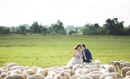 巨蟹座O型血的婚姻与家庭