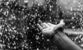 梦见很多死人预示着什么