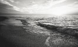 梦见死人活了预示什么